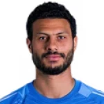 Mohamed El Sayed Mohamed El Sh Gomaa