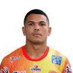 Wendel de Araújo Delfino