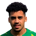 Telmo Emanuel Gomes Arcanjo