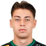 Nico Wiesinger