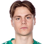 Nils Erik Hjalmar Arvidsson