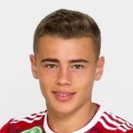 Erik Kusnyír