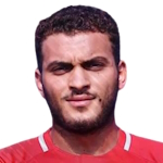 Hesham Mohamed Shaaban Hafez