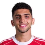 Ahmed Nabil Ashour Abdelaal
