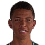 Arilson Pedro Ribeiro de Lima