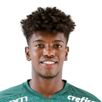 Yago Santos de Andrade