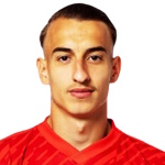 Ardit Destani