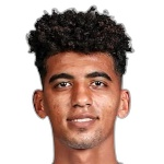 Ahmed Mahmoud