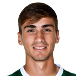 Nicolás Guillermo Fuica Collazzi