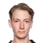 Hugo Emil Aviander