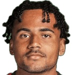 Levis Pitan