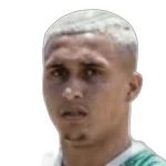 Abner Vinícius do Nascimento Custódio