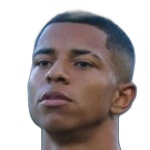 Pedro Henrique de Souza Corrêa