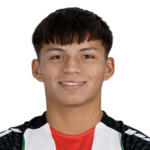 Benjamín Sebastián Araneda Aravena