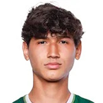 Diego Andrés Ochoa Solís