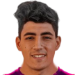 Mahmoud El Ziny