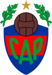 Atletico Pellegrini